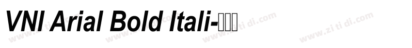 VNI Arial Bold Itali字体转换